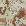 Desert BDU (1351)
