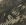 Ranger Green Deer Fern (1432)