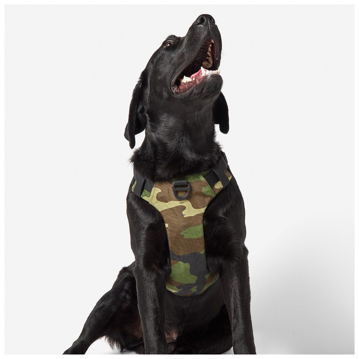 Mission Ready Harness 2.0 Woodland Camo