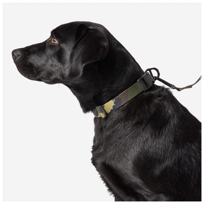 Mission Ready™ Dog Collar 2.0