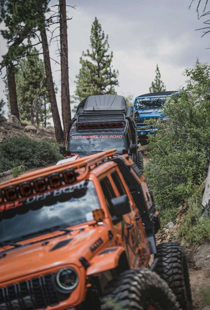 A convoy of off-road vehicles drives through the wilderness